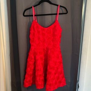 Express Red Rosette Dress